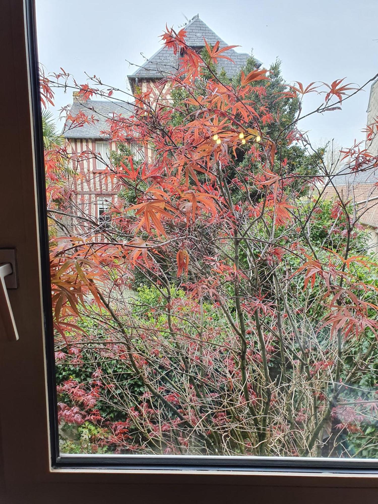 Apartamento La Venelle Saint Jean Honfleur Habitación foto